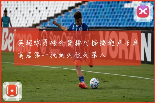 英超球员转会费排行榜揭晓卢卡库高居第一托纳利位列第八