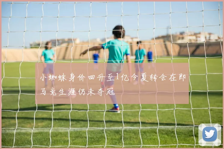 小蜘蛛身价回升至1亿今夏转会在即马竞生涯仍未夺冠